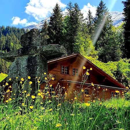 Alpenlodge Willigen 외부 사진