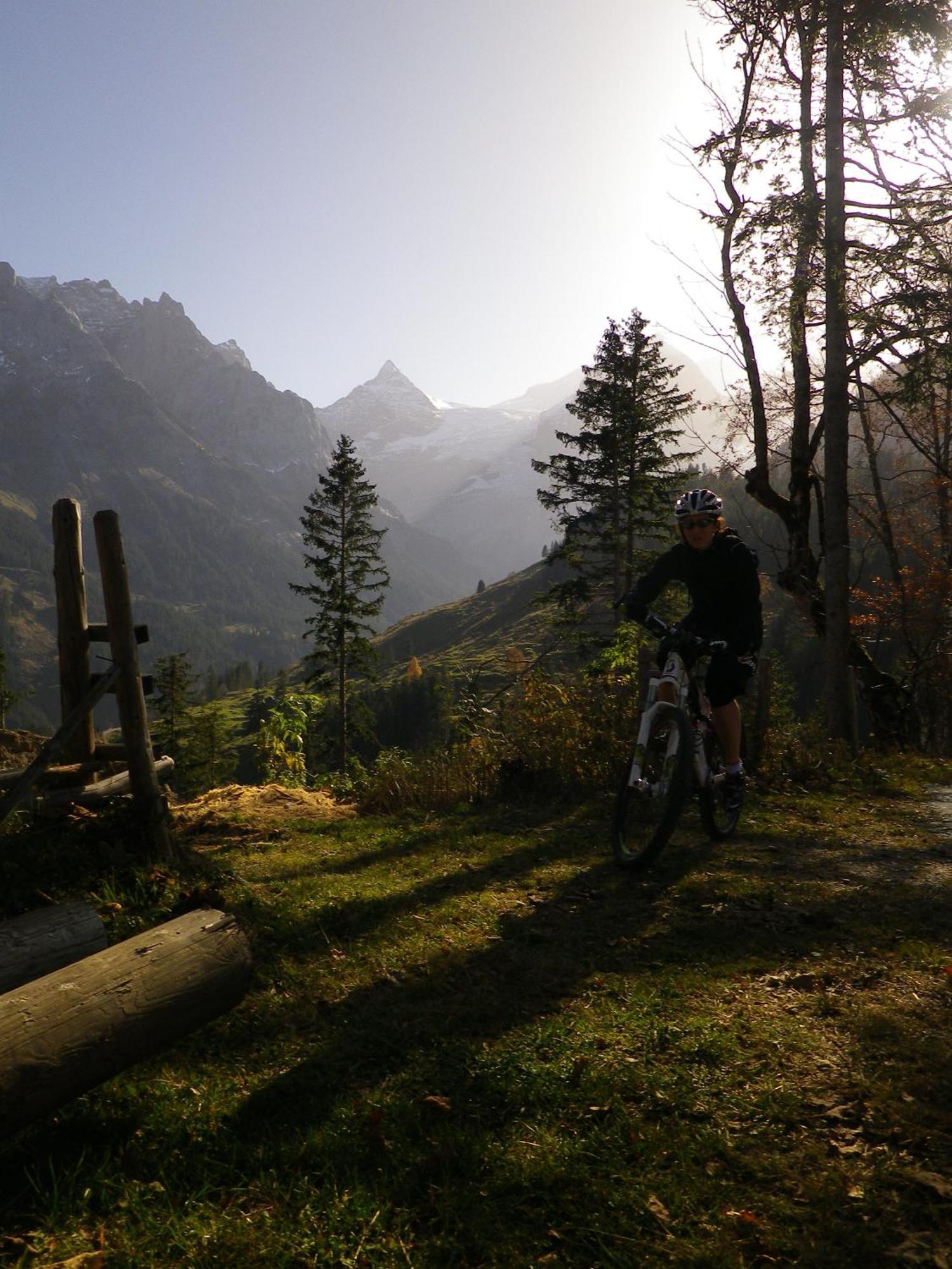 Alpenlodge Willigen 외부 사진