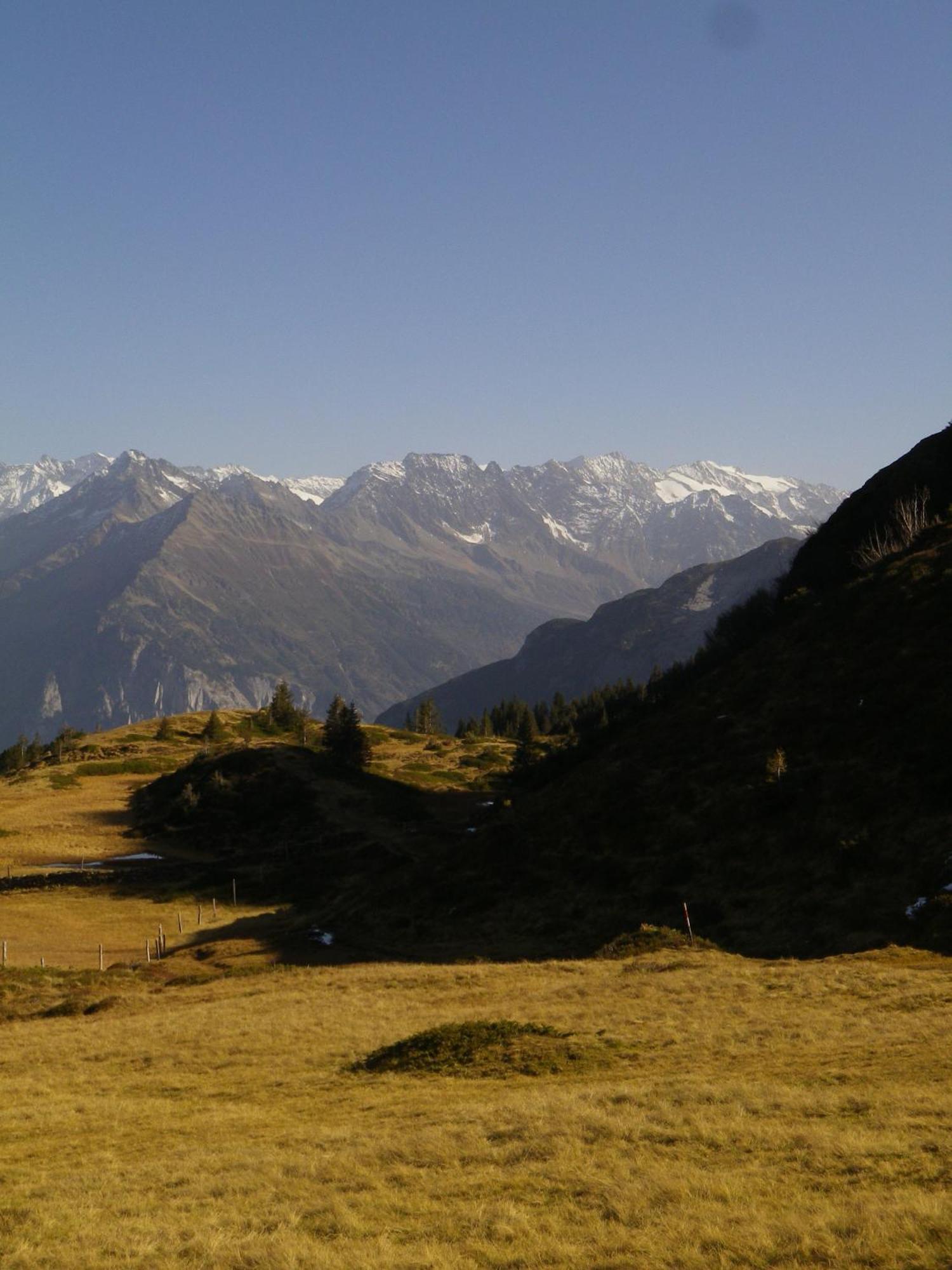 Alpenlodge Willigen 외부 사진