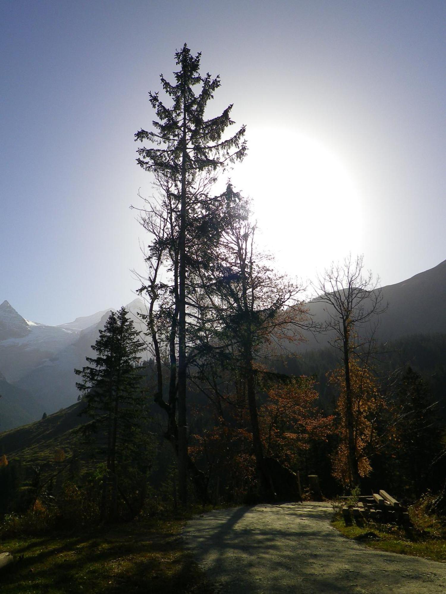 Alpenlodge Willigen 외부 사진