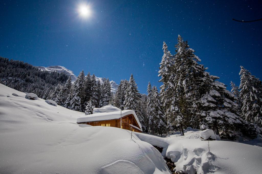 Alpenlodge Willigen 외부 사진