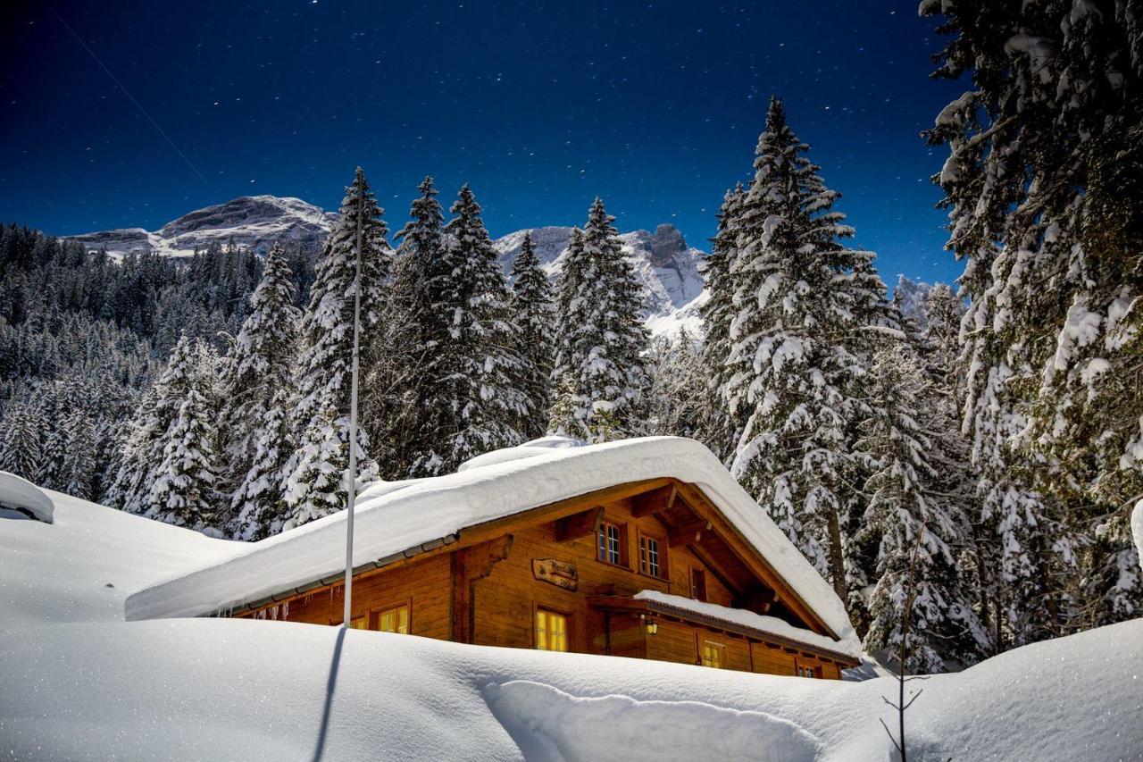 Alpenlodge Willigen 외부 사진