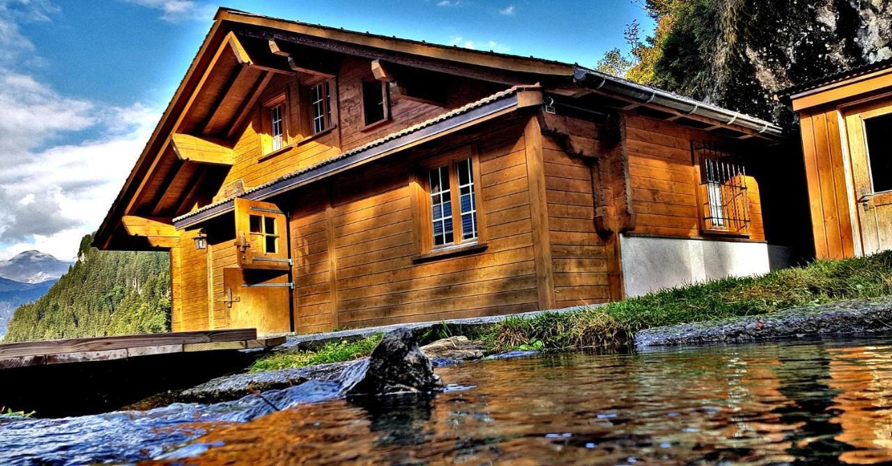 Alpenlodge Willigen 외부 사진