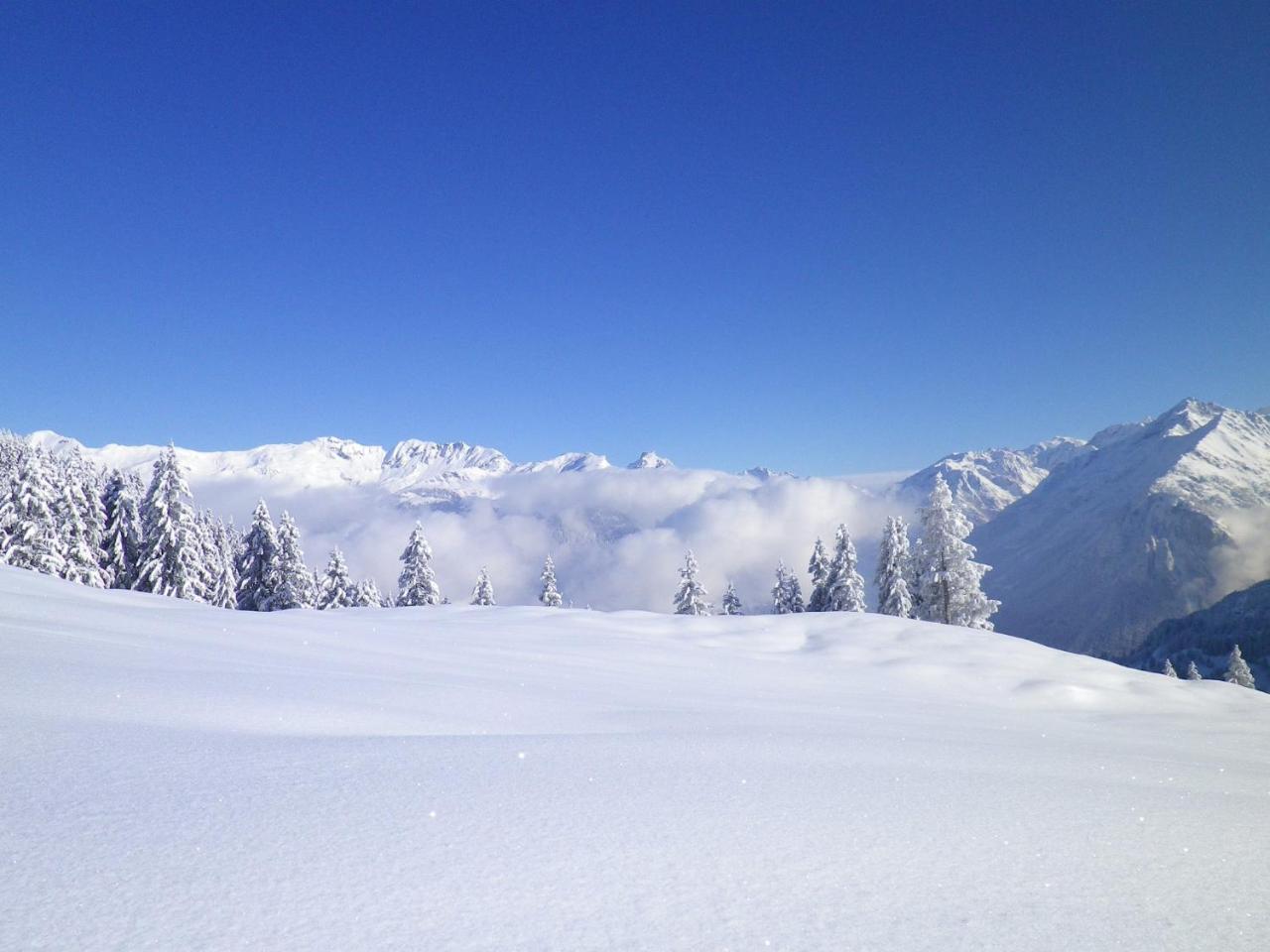Alpenlodge Willigen 외부 사진