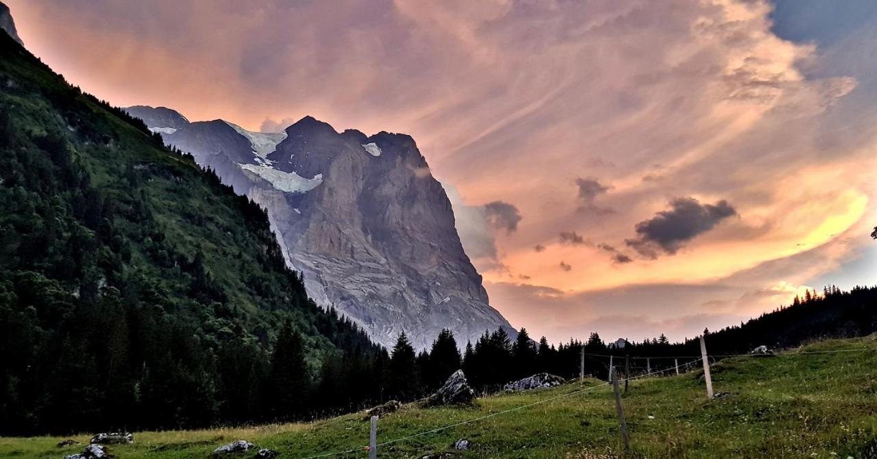 Alpenlodge Willigen 외부 사진