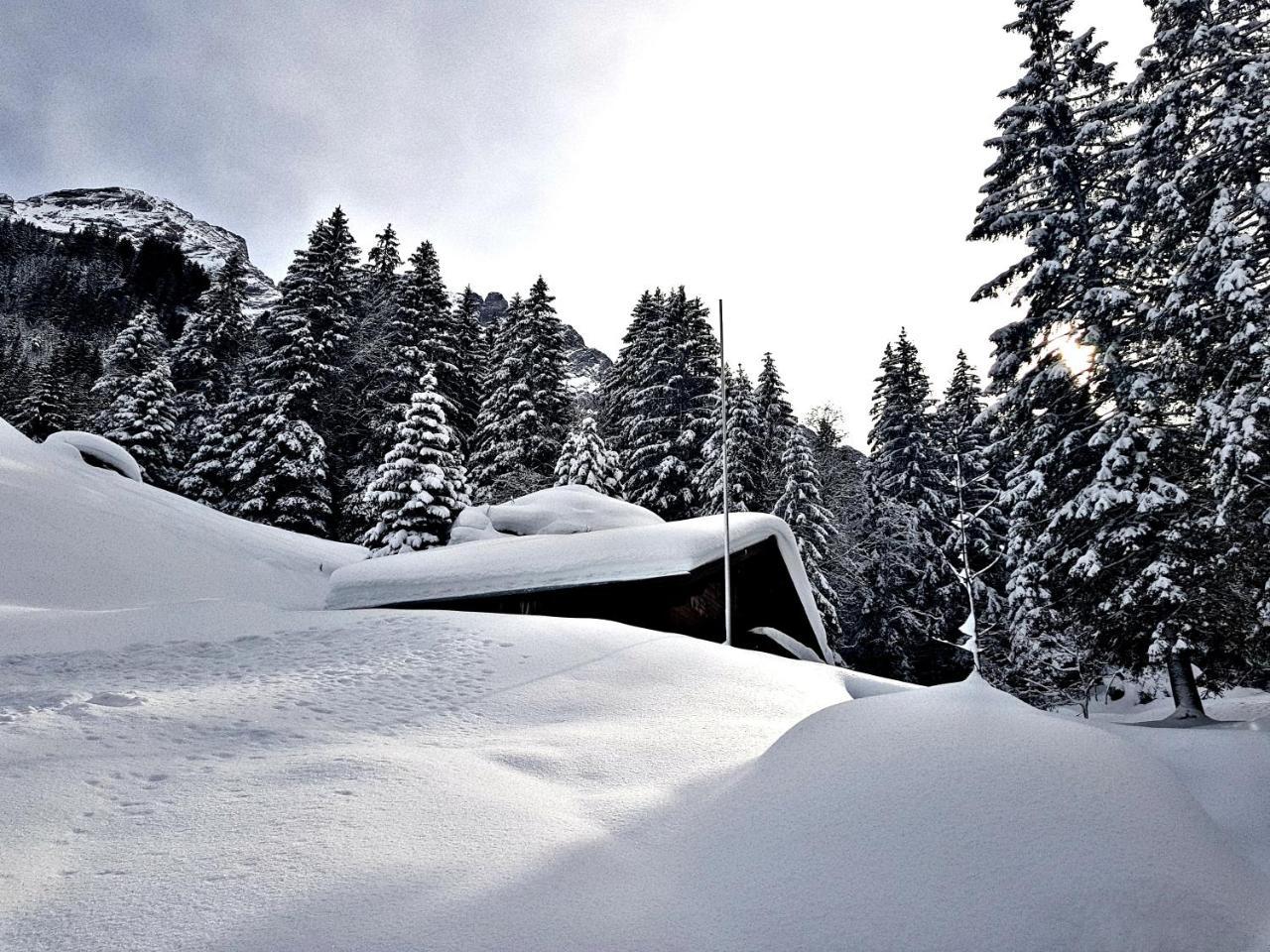 Alpenlodge Willigen 외부 사진