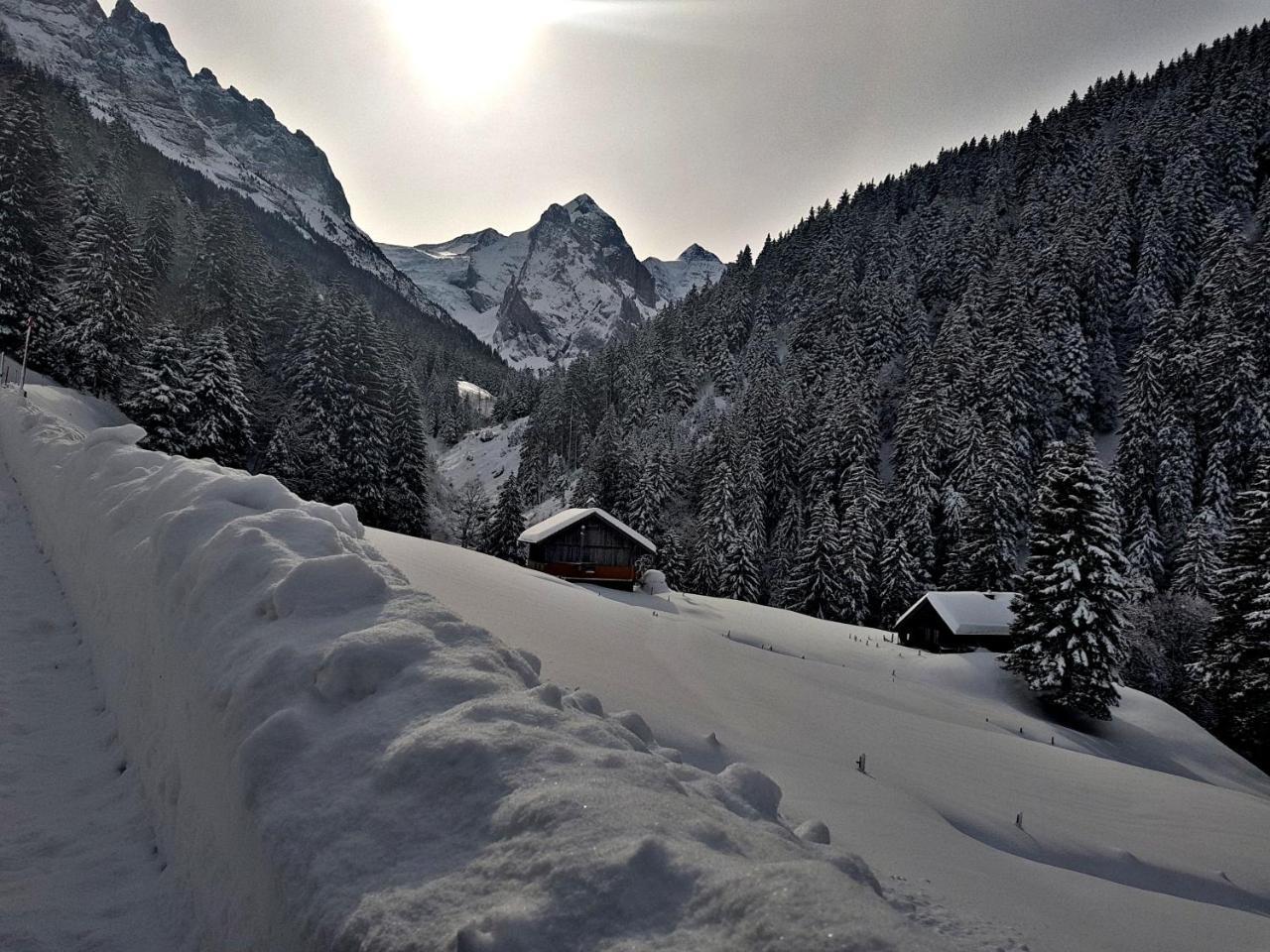 Alpenlodge Willigen 외부 사진