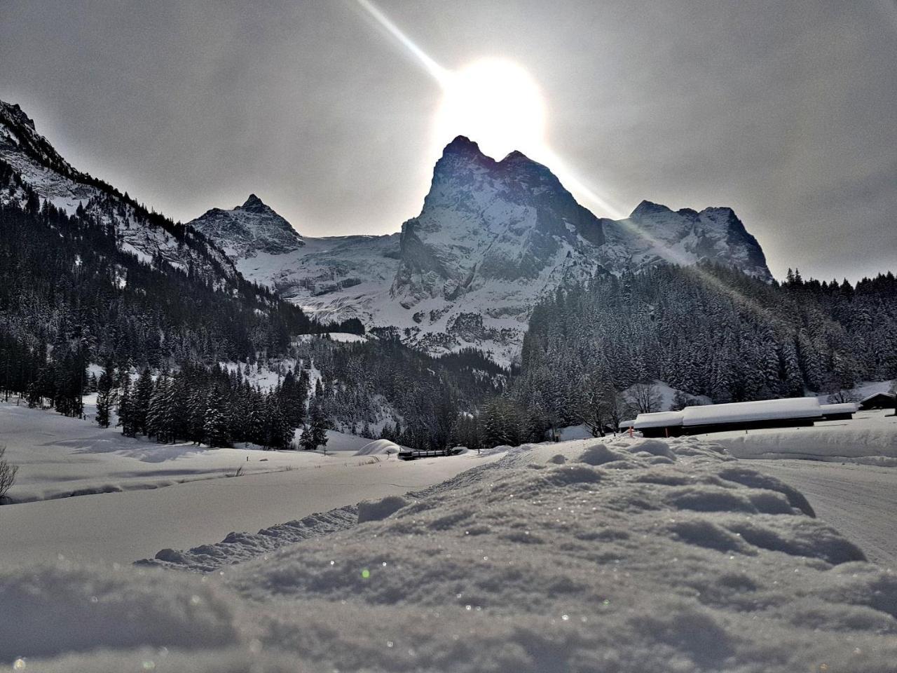 Alpenlodge Willigen 외부 사진