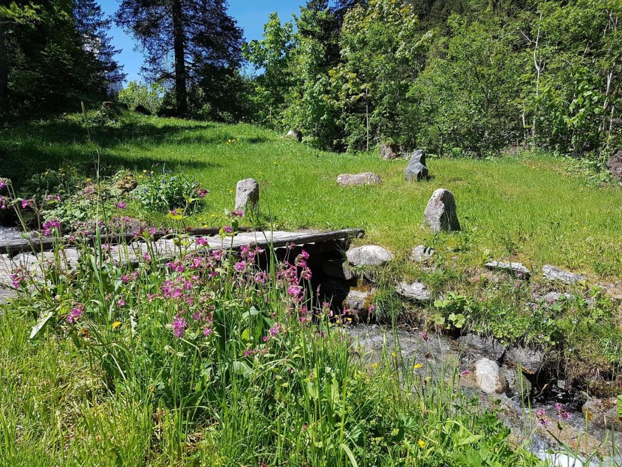 Alpenlodge Willigen 외부 사진