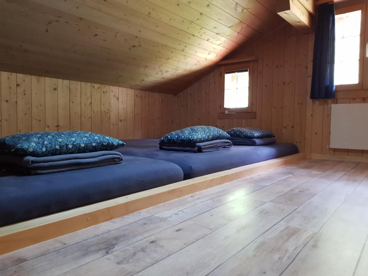 Alpenlodge Willigen 외부 사진