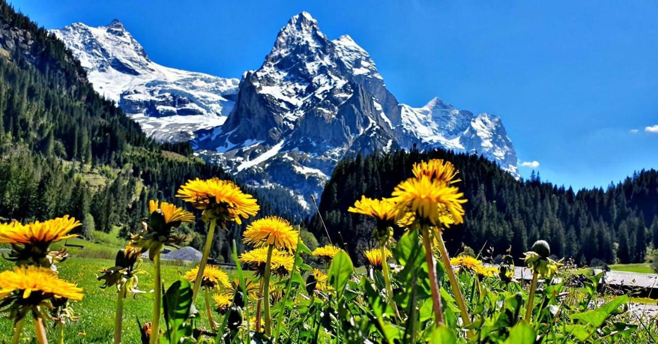 Alpenlodge Willigen 외부 사진