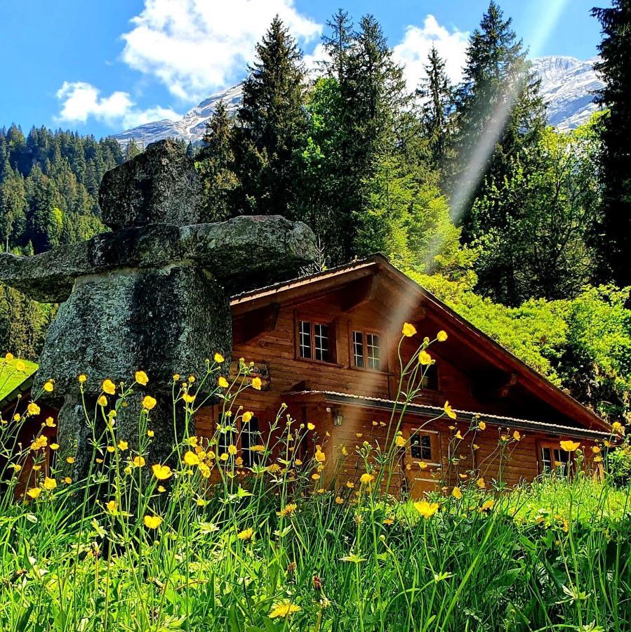 Alpenlodge Willigen 외부 사진