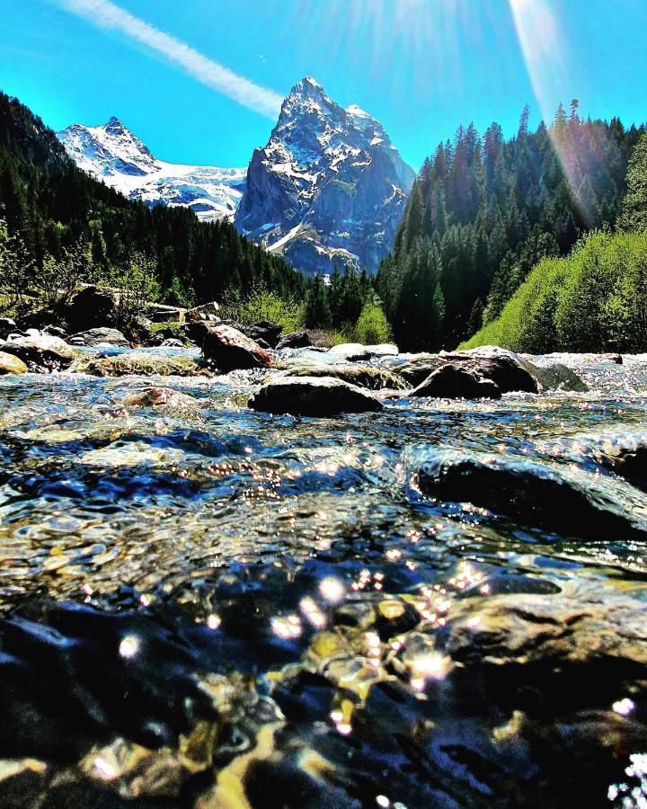 Alpenlodge Willigen 외부 사진